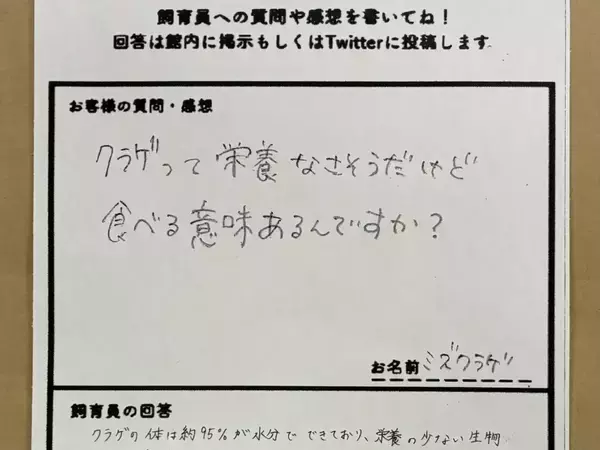 「カメはなぜクラゲを食べるの？」　飼育員の回答に驚き「お米と同じか」「誰かに言いたくなる」