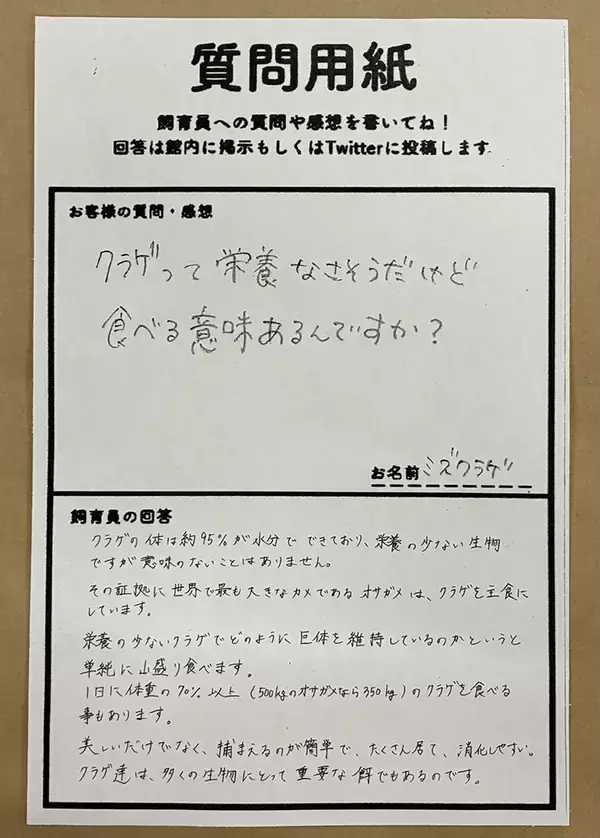 「「カメはなぜクラゲを食べるの？」　飼育員の回答に驚き「お米と同じか」「誰かに言いたくなる」」の画像