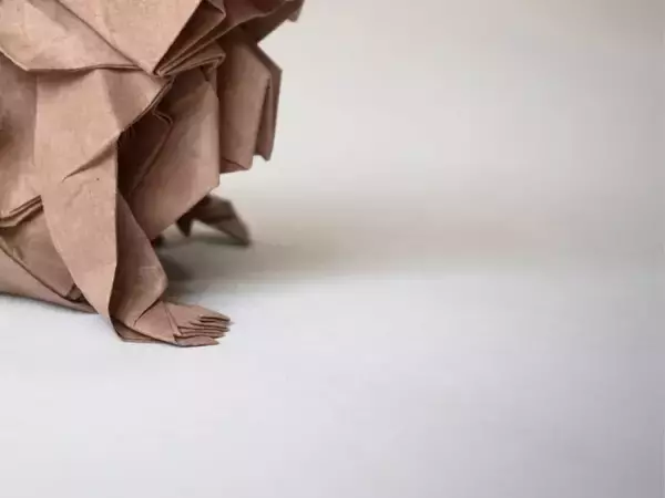 ハサミを使わず折られたニホンザル　衝撃のビジュアルに「切ってないの！？」「神業」