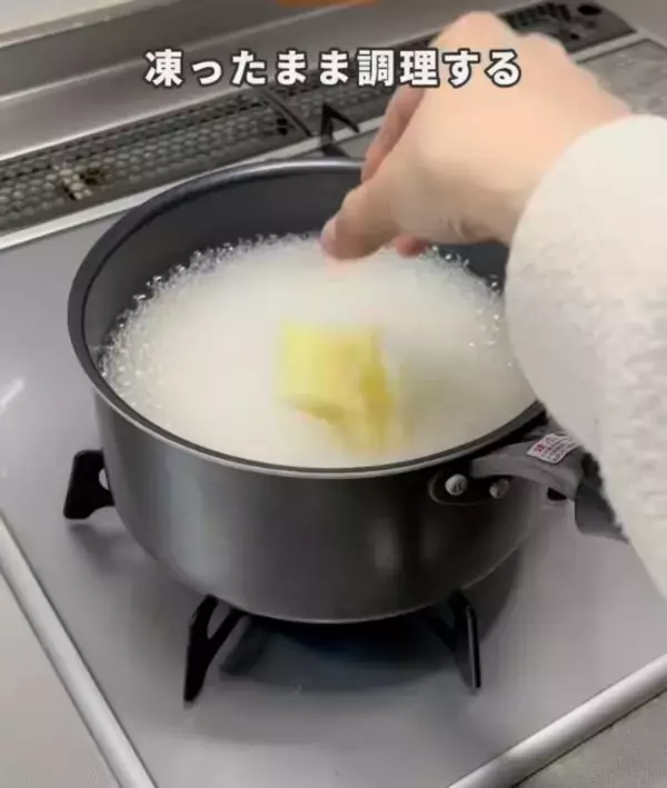 「ミキサーにかけたタマネギ　凍らせた結果に「知らなかった」「コレは思い付かない」」の画像