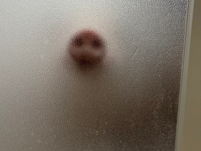 「心臓が止まるかと思った」　視線を感じる『入浴中』の写真、恐怖の正体は…