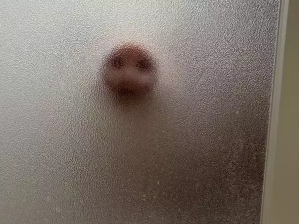 「心臓が止まるかと思った」　視線を感じる『入浴中』の写真、恐怖の正体は…