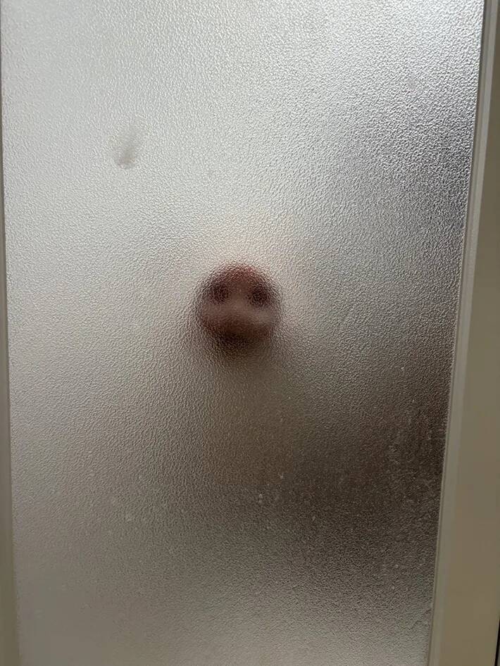 「心臓が止まるかと思った」　視線を感じる『入浴中』の写真、恐怖の正体は…