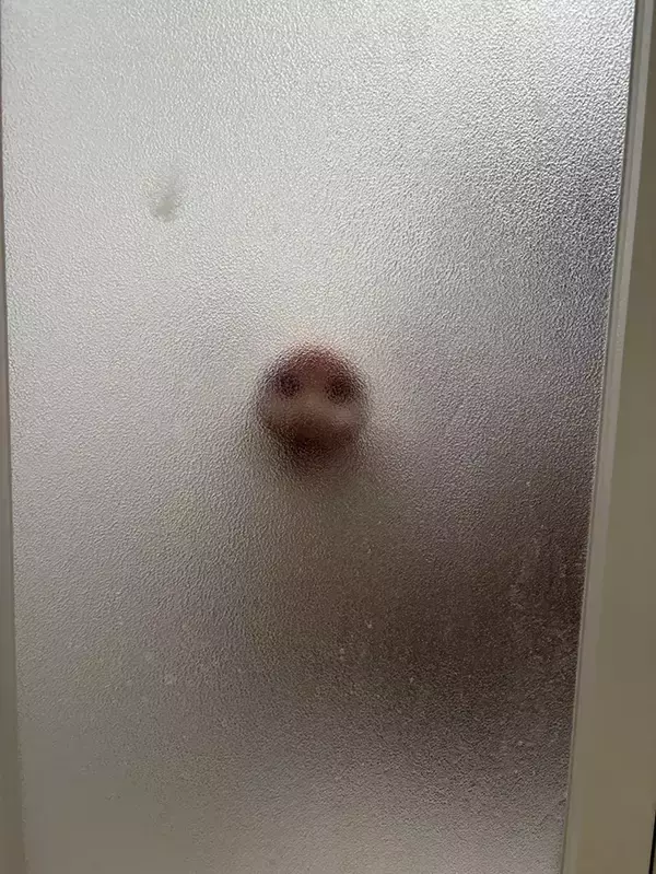 「「心臓が止まるかと思った」　視線を感じる『入浴中』の写真、恐怖の正体は…」の画像