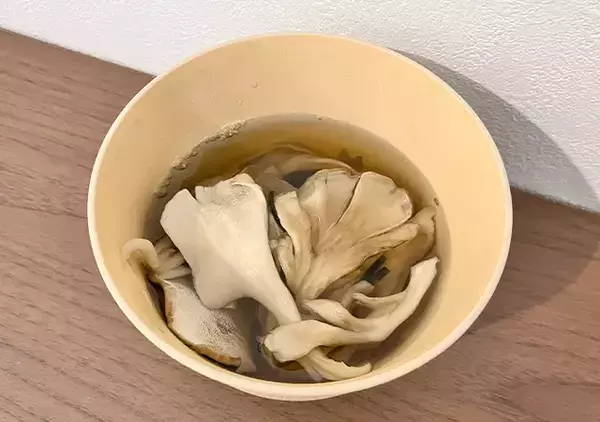 「マイタケ2袋を使って？　味つけは『お茶づけ海苔』だけの“ズボラ飯”レシピ」の画像