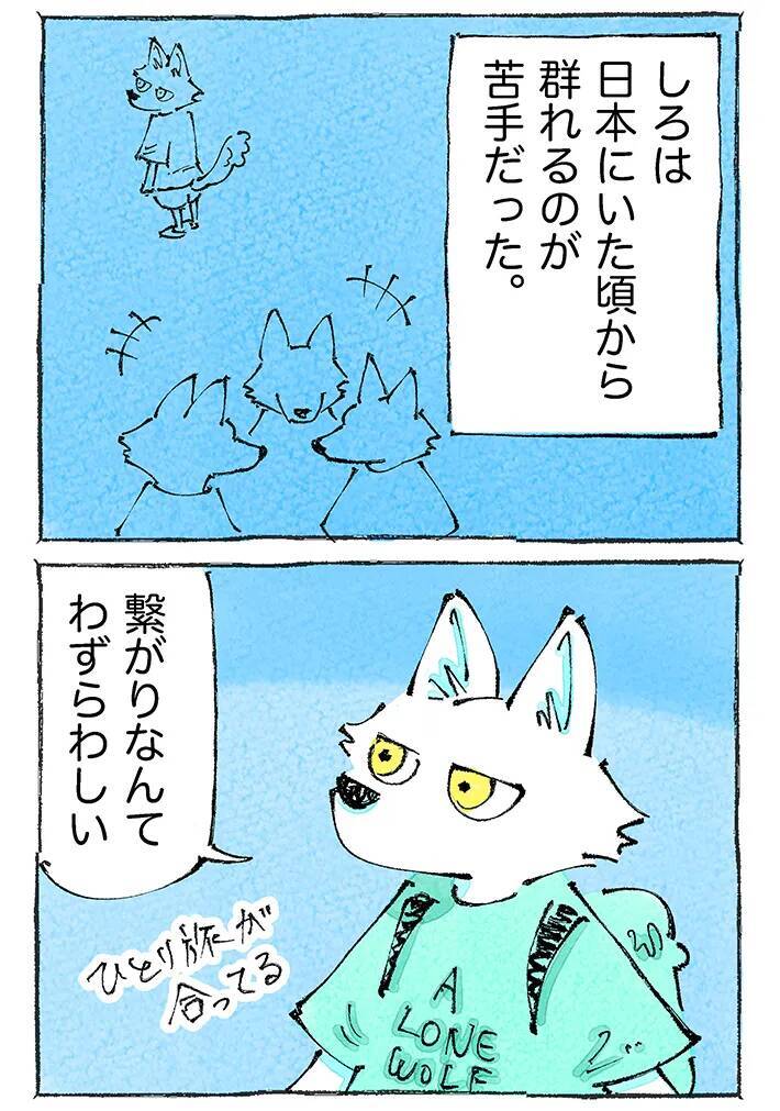 【海外旅行記】これぞ旅の醍醐味！海外の露店で日本人がついハマる『あるある』な展開