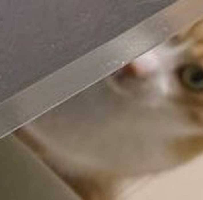 あなたには分かりますか？　何の変哲もない料理の写真、右下を見ると…