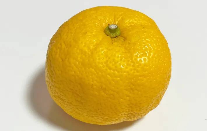 いつもの味噌汁に『ちょい足し』するだけで？　夫が「もっと食べたい」とおかわり！