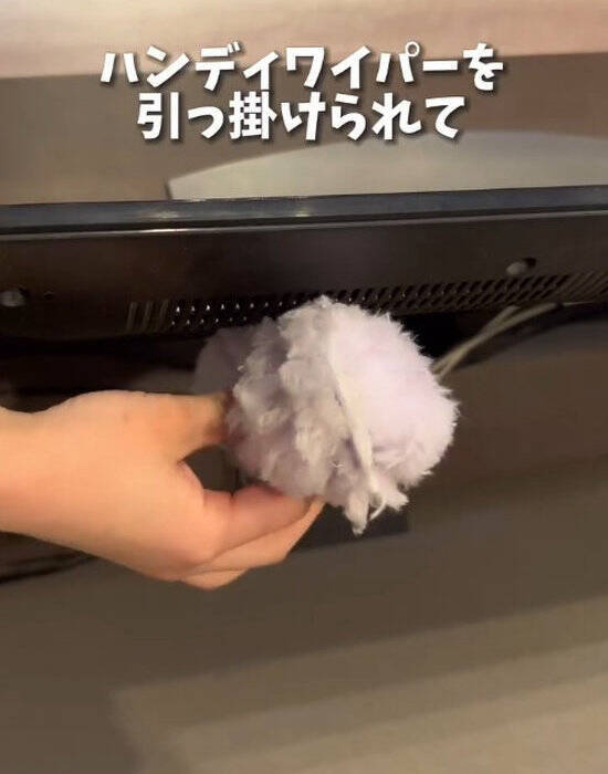 １００円のフックにタオルを通したら？　使い心地に「手放せない」「これは便利」