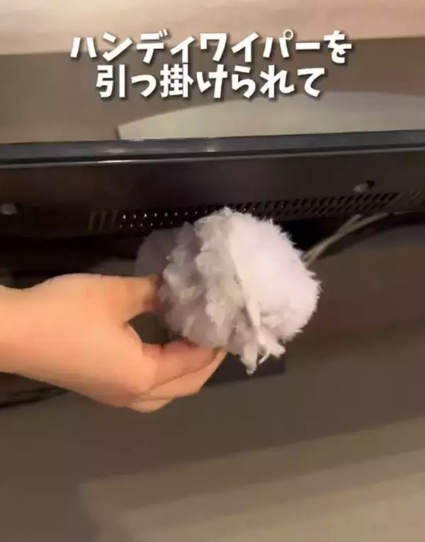 「１００円のフックにタオルを通したら？　使い心地に「手放せない」「これは便利」」の画像