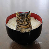 「どんぶりによそったごはん　その中から？「かわいすぎて食べられない」」の画像2