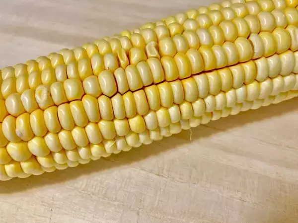 トウモロコシに『片栗粉』をまぶして？　カリッと揚げるアレンジが大正解【食べ方4選】