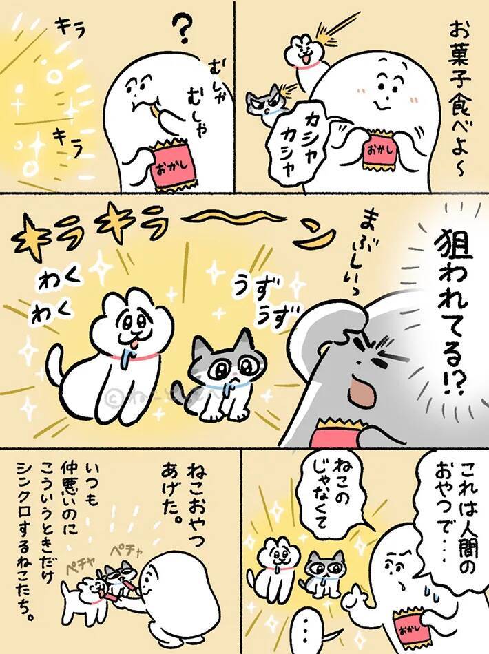「これは人間のおやつで…」漫画で描く『猫飼いあるある』に共感相次ぐ【動物エッセイ】