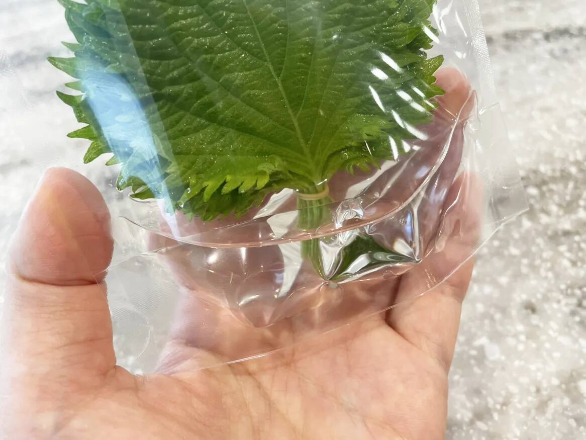 「大葉、またシナシナにしちゃった」←解決してくれる100均アイテムが？【野菜の保存術】