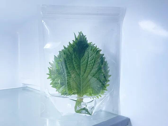 「大葉、またシナシナにしちゃった」←解決してくれる100均アイテムが？【野菜の保存術】