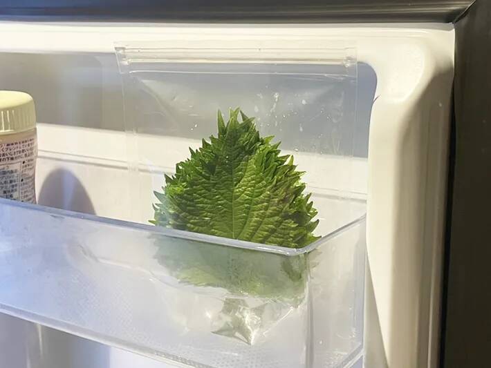 「大葉、またシナシナにしちゃった」←解決してくれる100均アイテムが？【野菜の保存術】