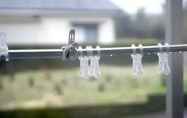 「雨に濡れた洗濯物　そのまま干す？洗濯する？　きぎゅが教える正解はがコチラ【洗濯の知識4選】」の画像