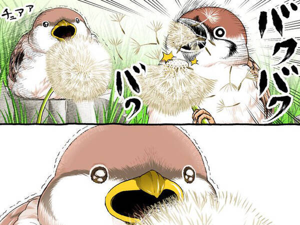 兄にタンポポの綿毛をもらったスズメ 展開に 変な声が出た 表情で吹く 22年7月25日 エキサイトニュース 兄にタンポポの綿毛をもらったスズメ 展開に 変な声が出た 表情で吹く 22年7月25日 エキサイトニュース