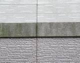 「外壁のコケはどうやって落とす？　企業が教える掃除方法と手順に「やってみる」」の画像3