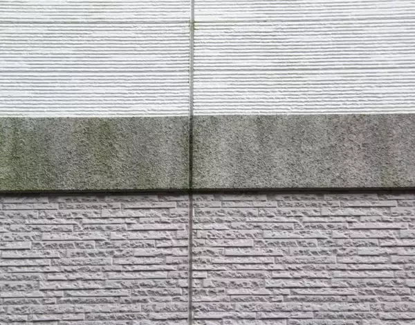「外壁のコケはどうやって落とす？　企業が教える掃除方法と手順に「やってみる」」の画像