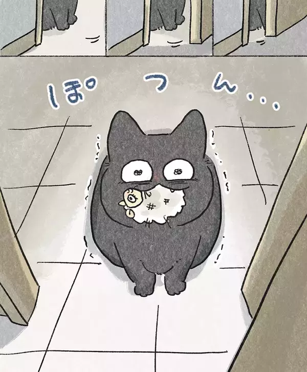 「【8万いいね】愛猫を部屋に閉じ込めてしまった！　飼い主が気づいて扉を開けると…？」の画像