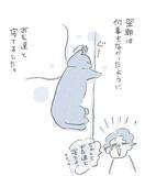 「【8万いいね】愛猫を部屋に閉じ込めてしまった！　飼い主が気づいて扉を開けると…？」の画像6
