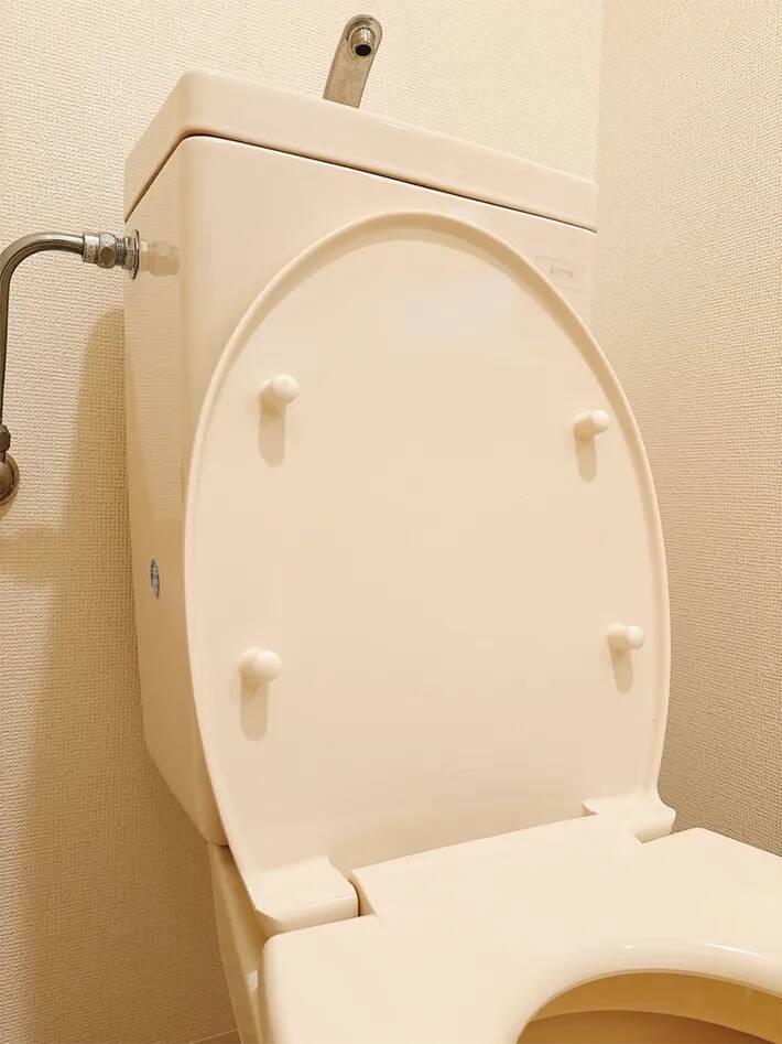 トイレの蓋の裏に“シール”を貼ると？　うるさい音の改善方法に「やっぱりやってよかった」