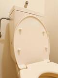 「トイレの蓋の裏に“シール”を貼ると？　うるさい音の改善方法に「やっぱりやってよかった」」の画像5