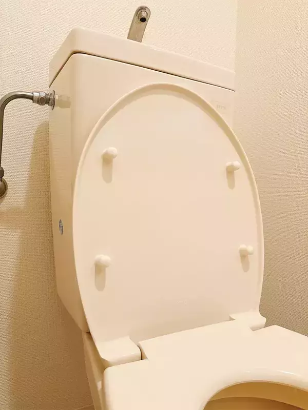 「トイレの蓋の裏に“シール”を貼ると？　うるさい音の改善方法に「やっぱりやってよかった」」の画像