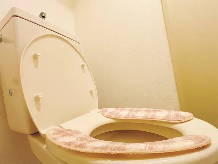 トイレの蓋の裏に“シール”を貼ると？　うるさい音の改善方法に「やっぱりやってよかった」