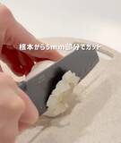 「『レンジで30秒』　ニンニクをまるごとレンチンすると…？　「すごい」「これは試したい」」の画像2