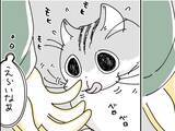 「噛んできそうで噛んでこない…　飼い主と猫の微笑ましい風景描いた漫画に『8万いいね』」の画像1