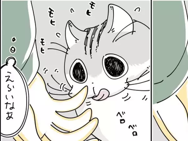 噛んできそうで噛んでこない…　飼い主と猫の微笑ましい風景描いた漫画に『8万いいね』