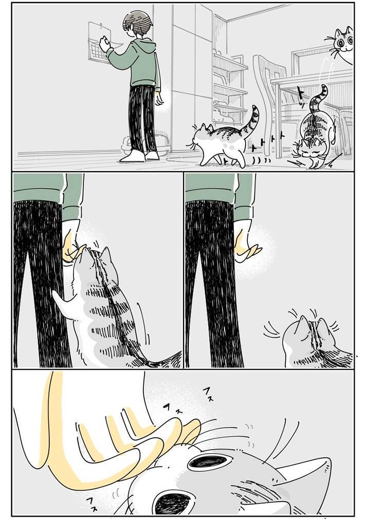 噛んできそうで噛んでこない…　飼い主と猫の微笑ましい風景描いた漫画に『8万いいね』
