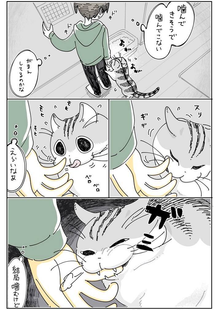 噛んできそうで噛んでこない…　飼い主と猫の微笑ましい風景描いた漫画に『8万いいね』