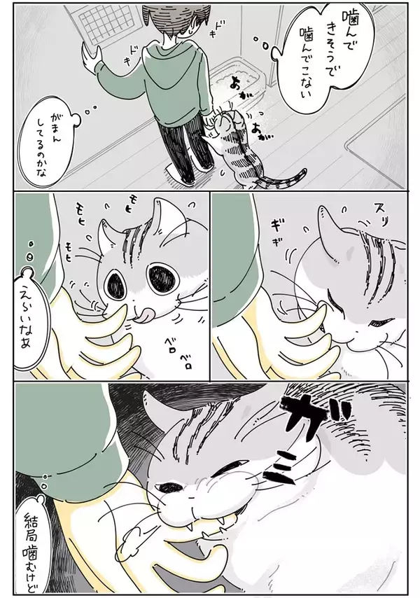 「噛んできそうで噛んでこない…　飼い主と猫の微笑ましい風景描いた漫画に『8万いいね』」の画像