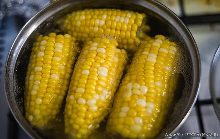トウモロコシは水からゆでる？それともお湯から？　「スイートコーンの名産地」に聞いた！