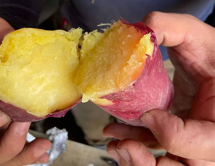 サツマイモを買う時は『皮』を見る　農業のプロの見極め方に「もうスーパーで迷わない！」