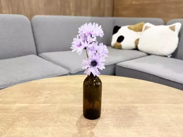 「捨てるの待った！　飲み終わった栄養ドリンクの空きビン、意外な再利用テクニック【4選】」の画像