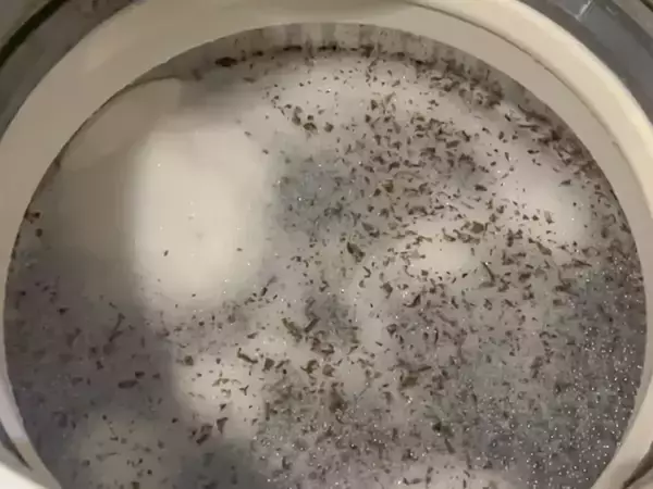 梅雨前にやって！　洗濯槽を清潔に保つ3つのコツ【洗濯のプロ監修】