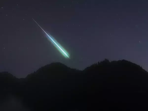 「やっぱり、あれは流星だったんだ！」　“12/14”に激写された1枚に反響【ふたご座流星群】