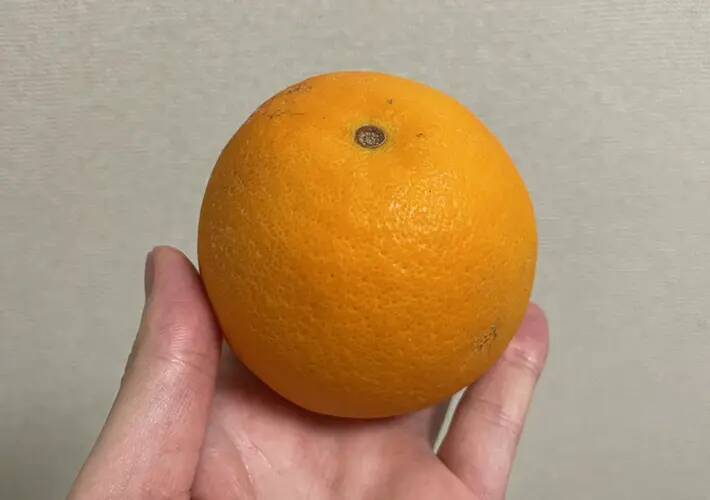 ちまちま切るのはもうやめた！　オレンジがパカッと開く切り方がこちら