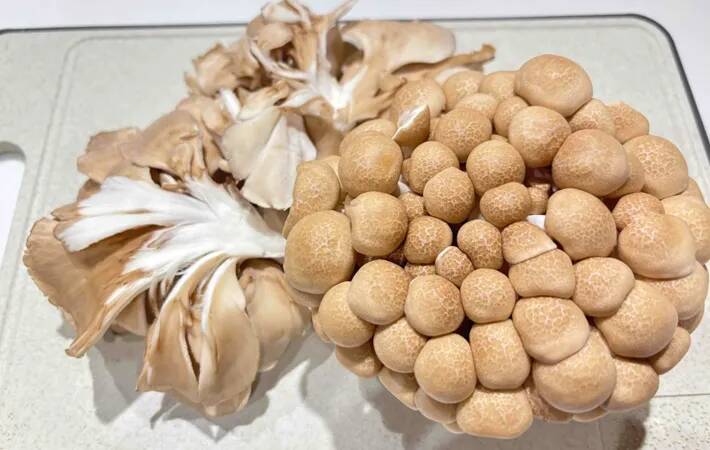 炊飯器に入れる前にやって！　家族が喜ぶ『炒めキノコの炊き込みご飯』の作り方