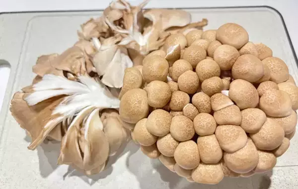 「炊飯器に入れる前にやって！　家族が喜ぶ『炒めキノコの炊き込みご飯』の作り方」の画像