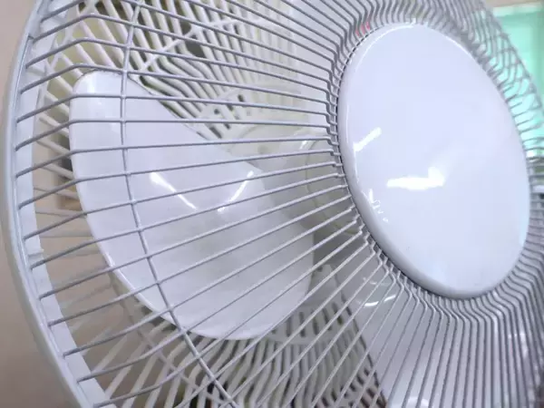 扇風機カバー、雑巾だけで拭くの待った！　スポンジに切り込みを入れると…【夏家電のお手入れ4選】