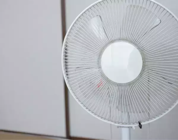 「扇風機カバー、雑巾だけで拭くの待った！　スポンジに切り込みを入れると…【夏家電のお手入れ4選】」の画像