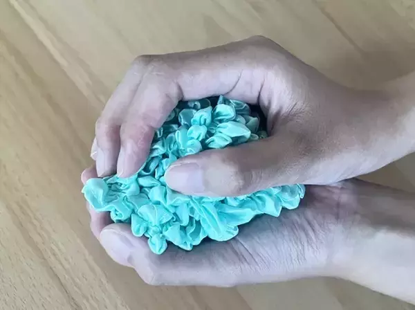 「「店員さんに驚かれる」「ちょっぴり恥ずかしいけど便利」　話題の『エコバッグ』を使ってみたら？」の画像