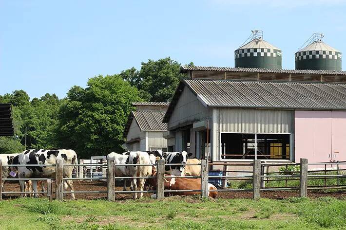 「牛が道路に脱走してる！？」　思わず錯覚する車のビジュアルに「笑った」