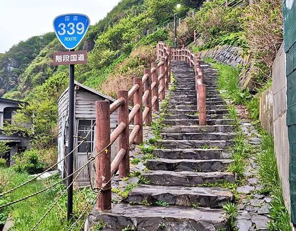 「絶望する人がいないか心配」　青い標識の先に広がっていた『まさかの光景』が…？