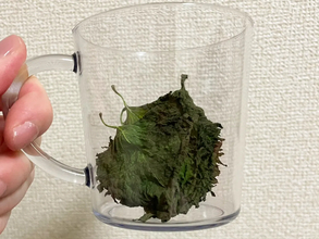 大葉は刻まず『砕く』！　電子レンジに3分入れるアイディアに「カリカリ食感」「大量消費にいい」
